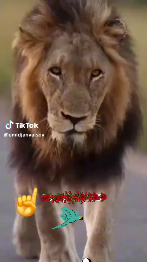 @🇹🇲🇹🇷ŞIRINA 06🇹🇷🇹🇲