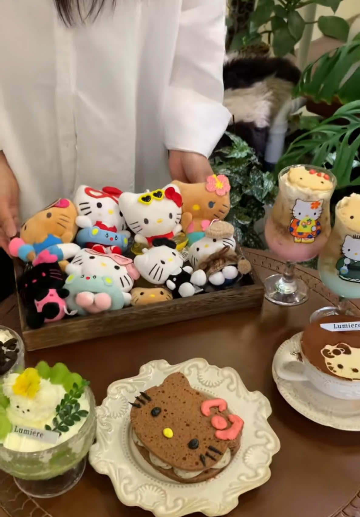@Emma the Sanrio lover 💓✨🪽