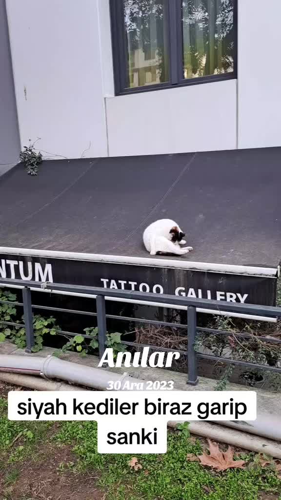 @Ayşe