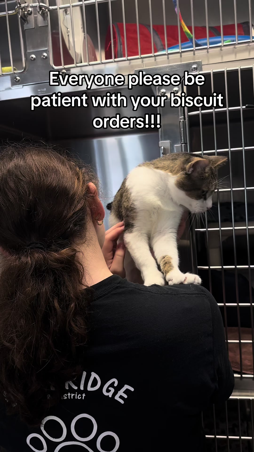 @CambridgeHumaneSocty