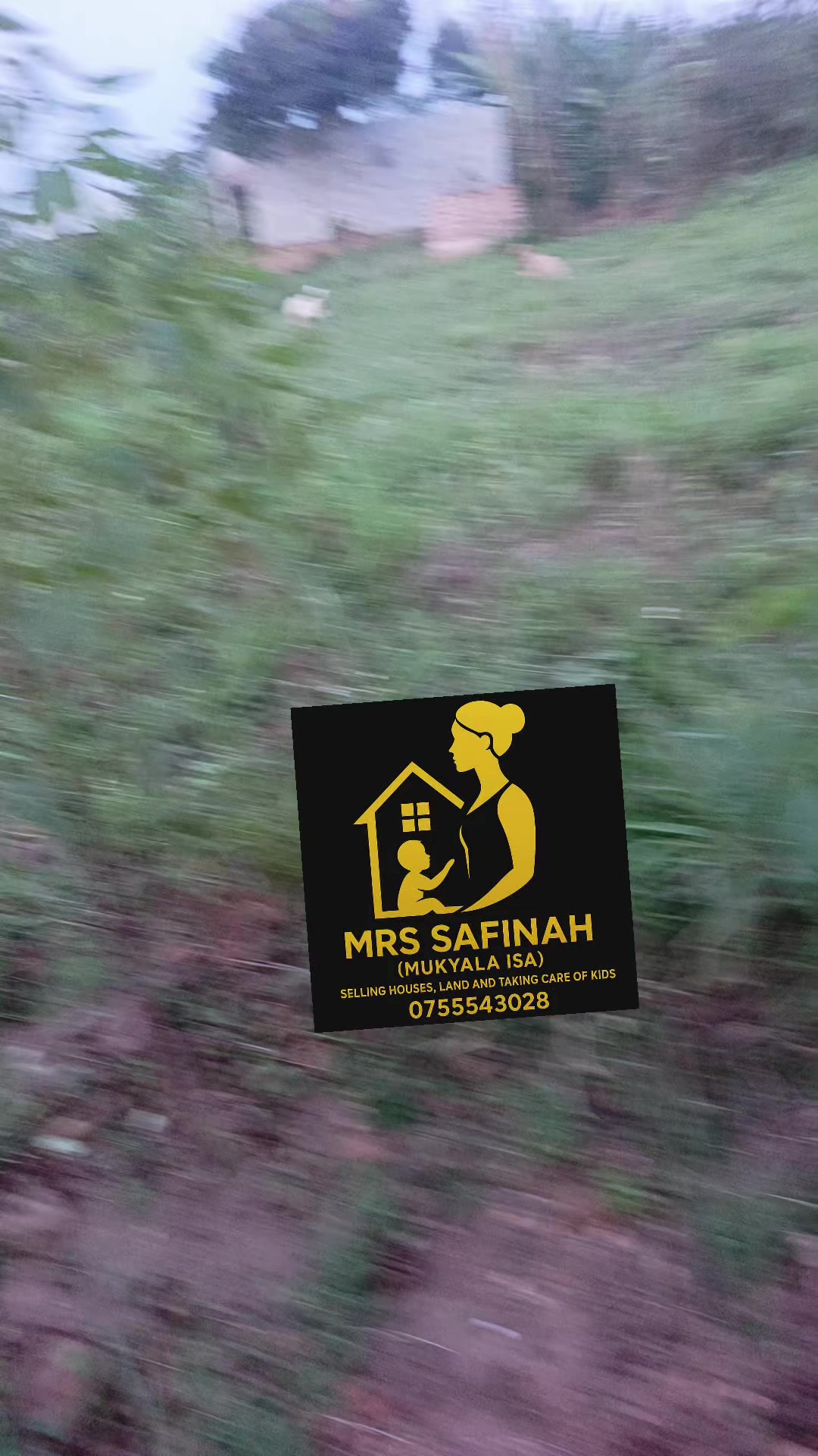 @Safina