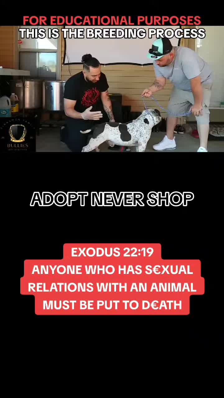 @advocate4animals