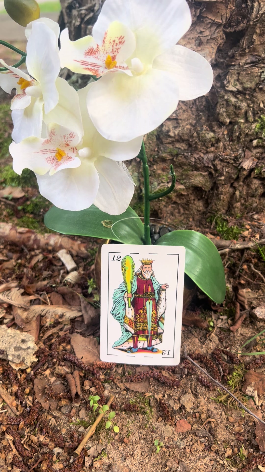 @El.brujo