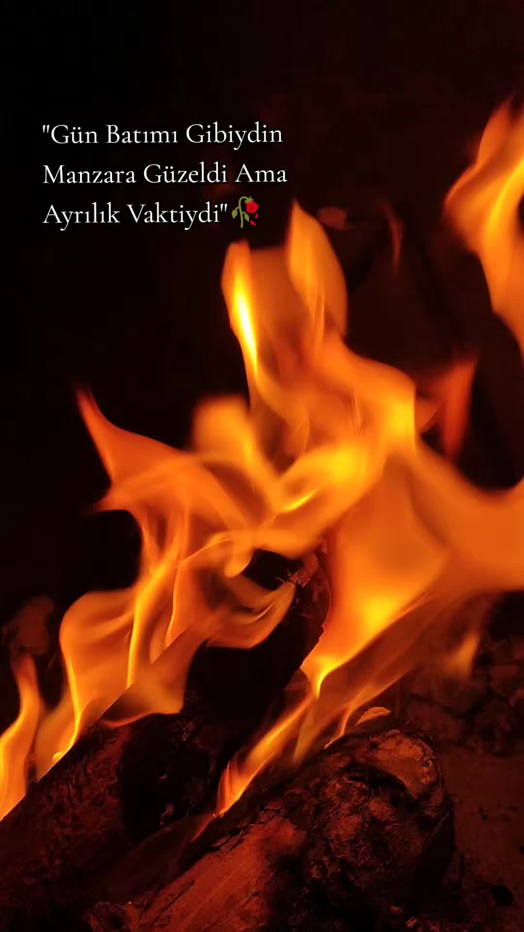 @Mehmet Okşak
