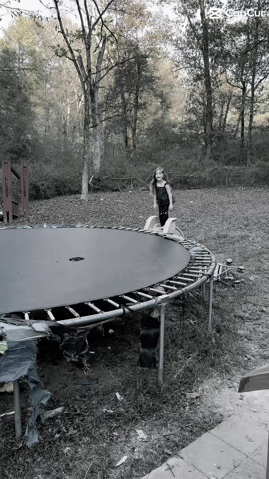 @Johnifer932019
