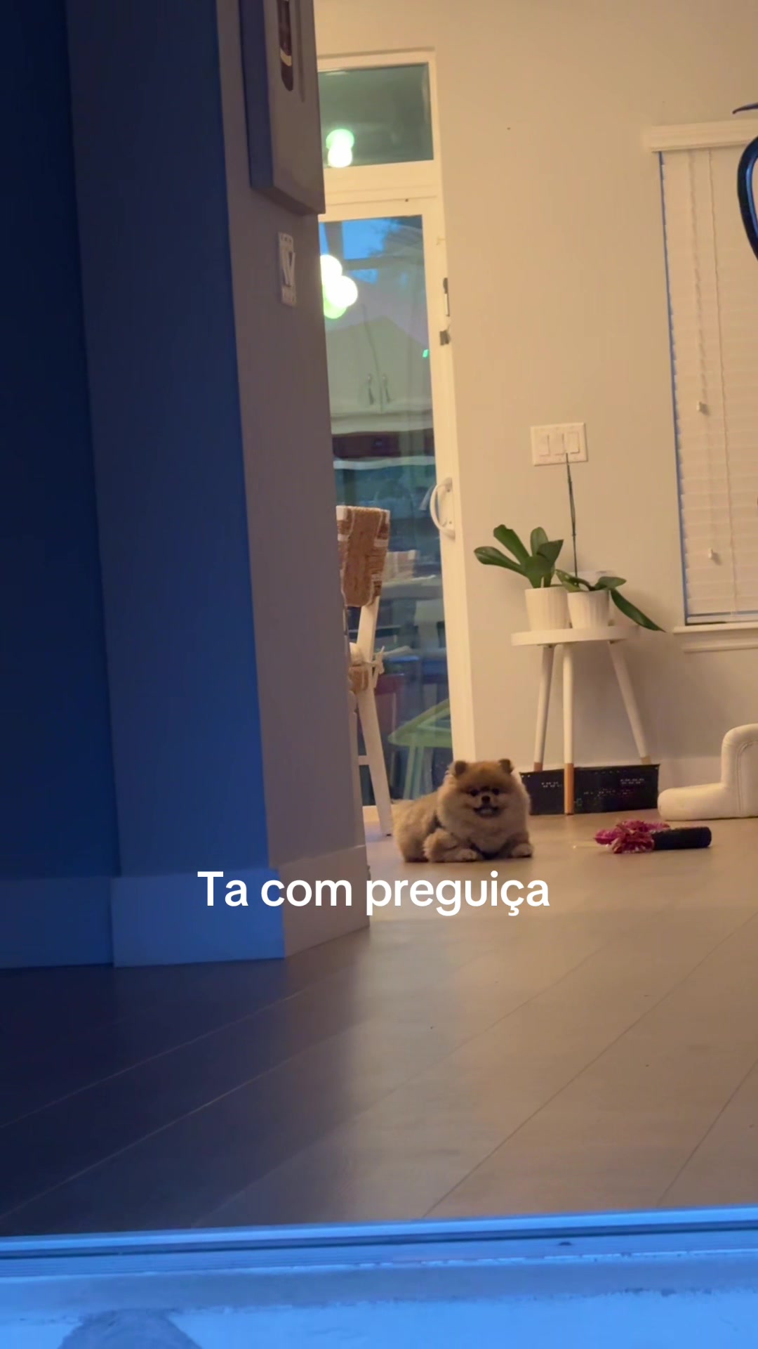 @Ana Landim