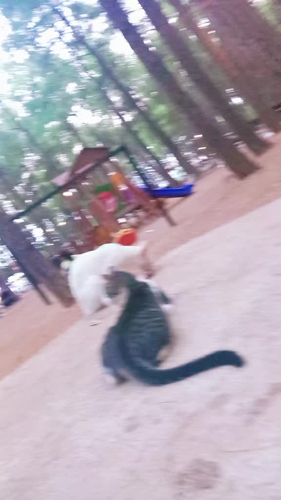 @gülcan esma. herşeyim ♥️♥️