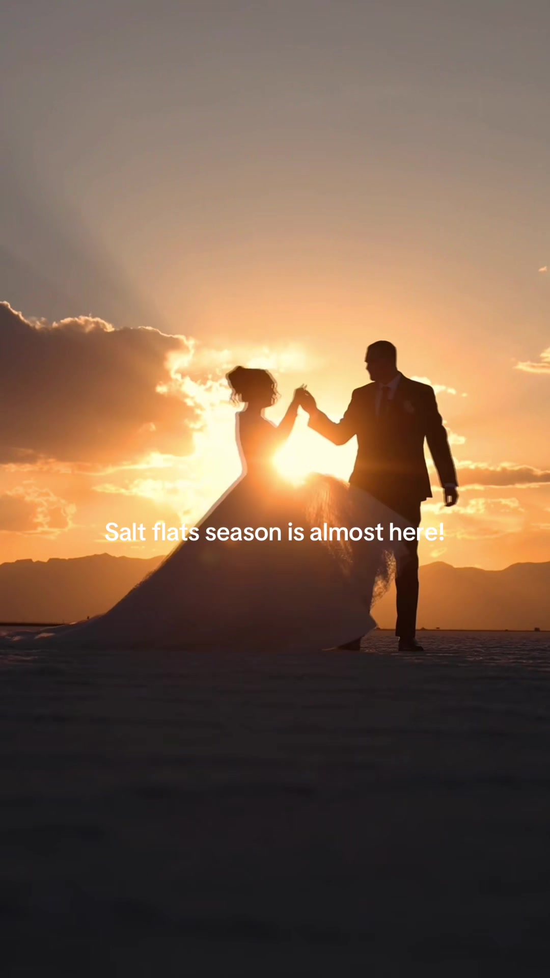 @The Light Seeker