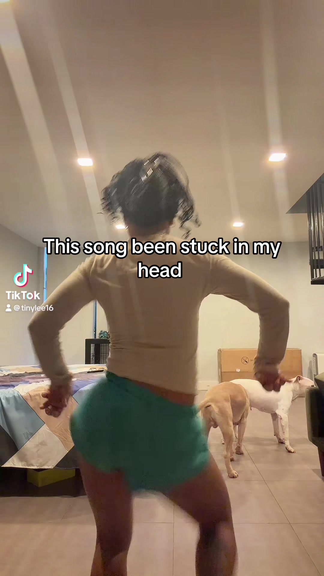 @Tiny