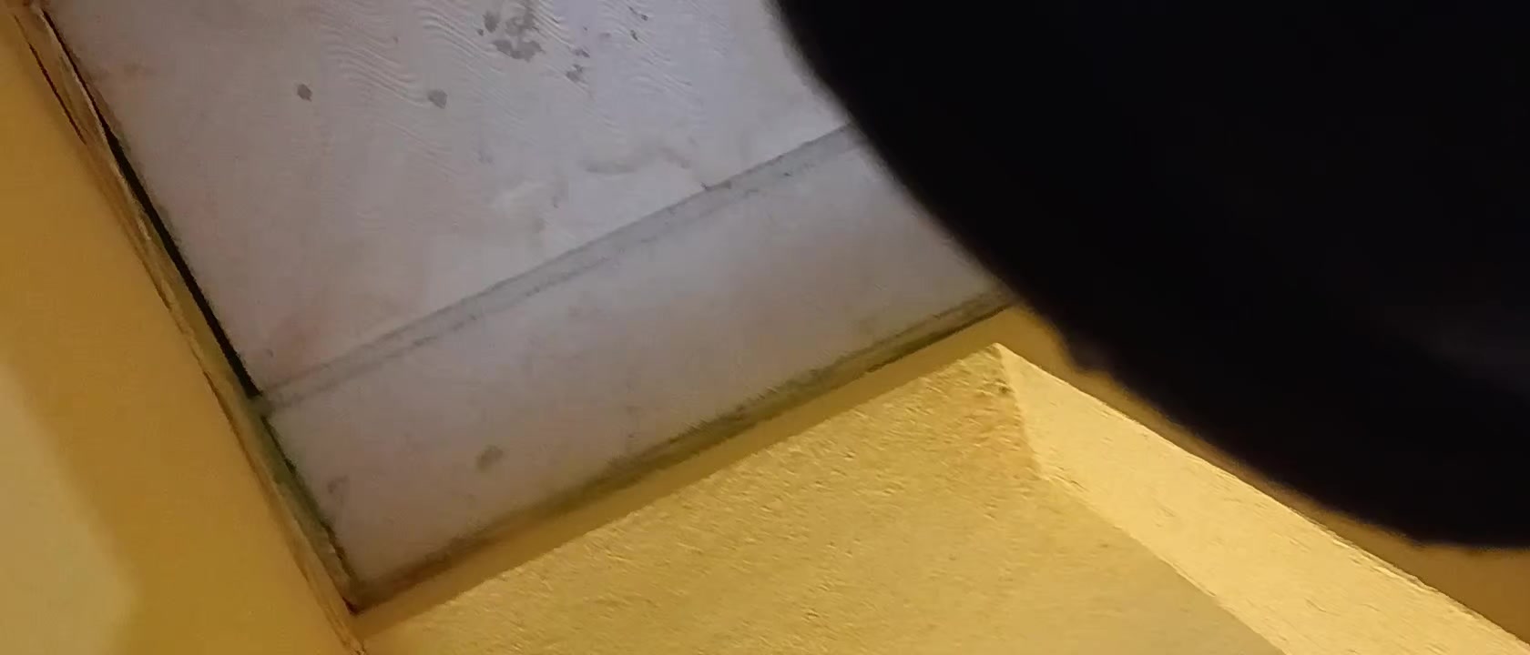 @DiegoCruz
