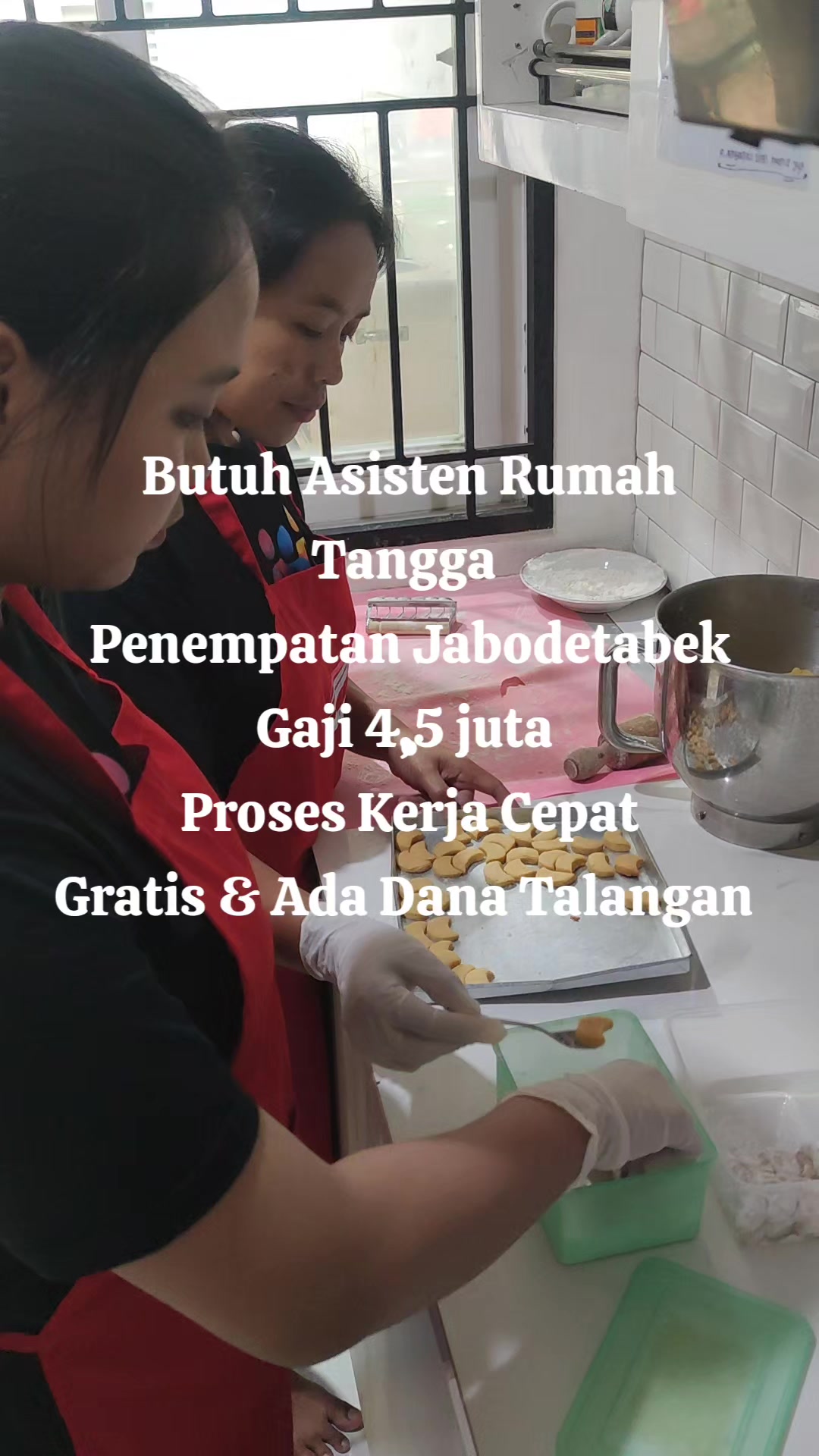@pembantu.co.id
