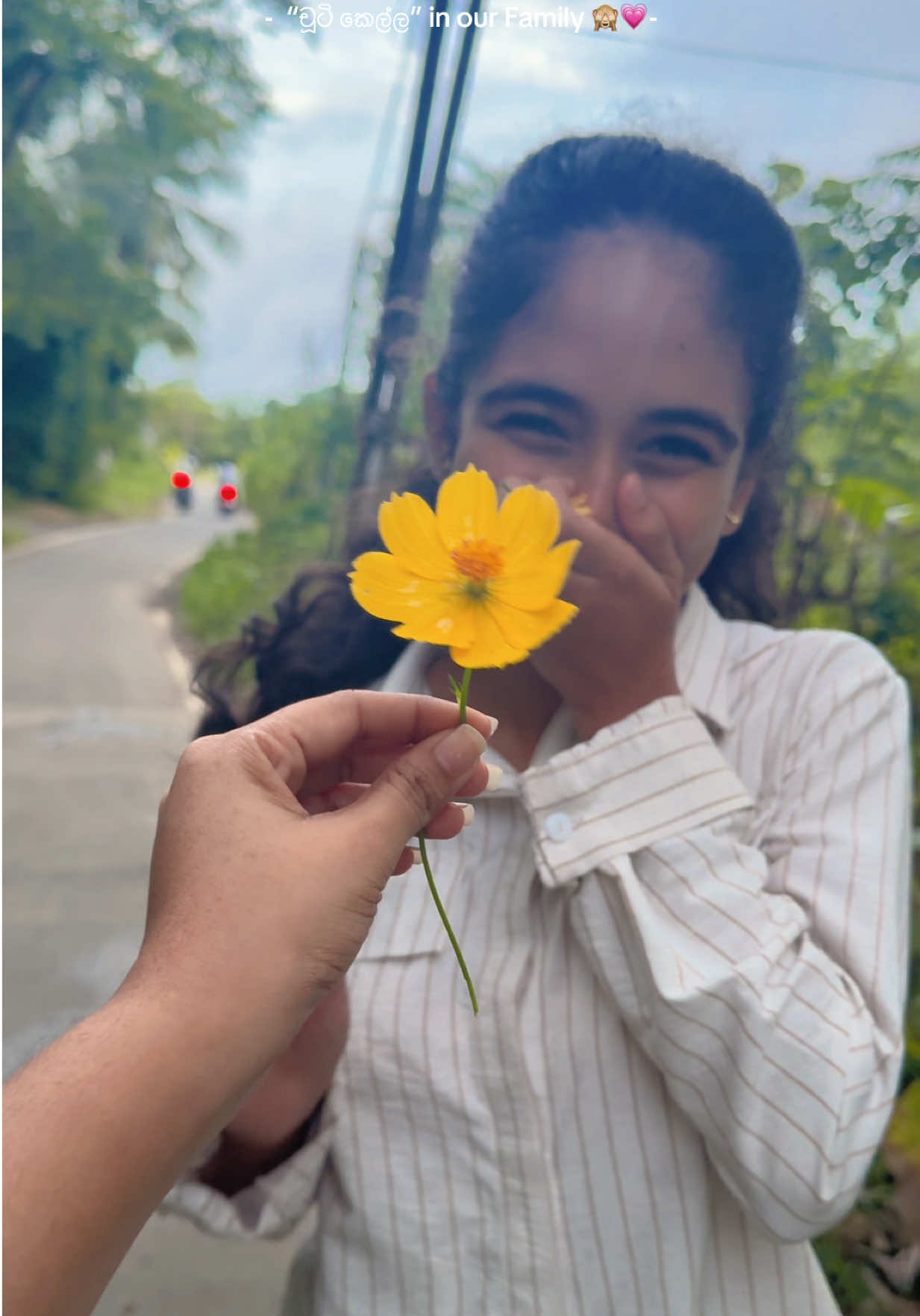 @Lakshani Herath.🌼