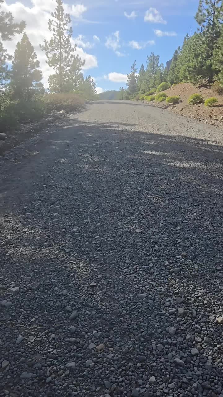 @cesar503🐅🇺🇸🇸🇻