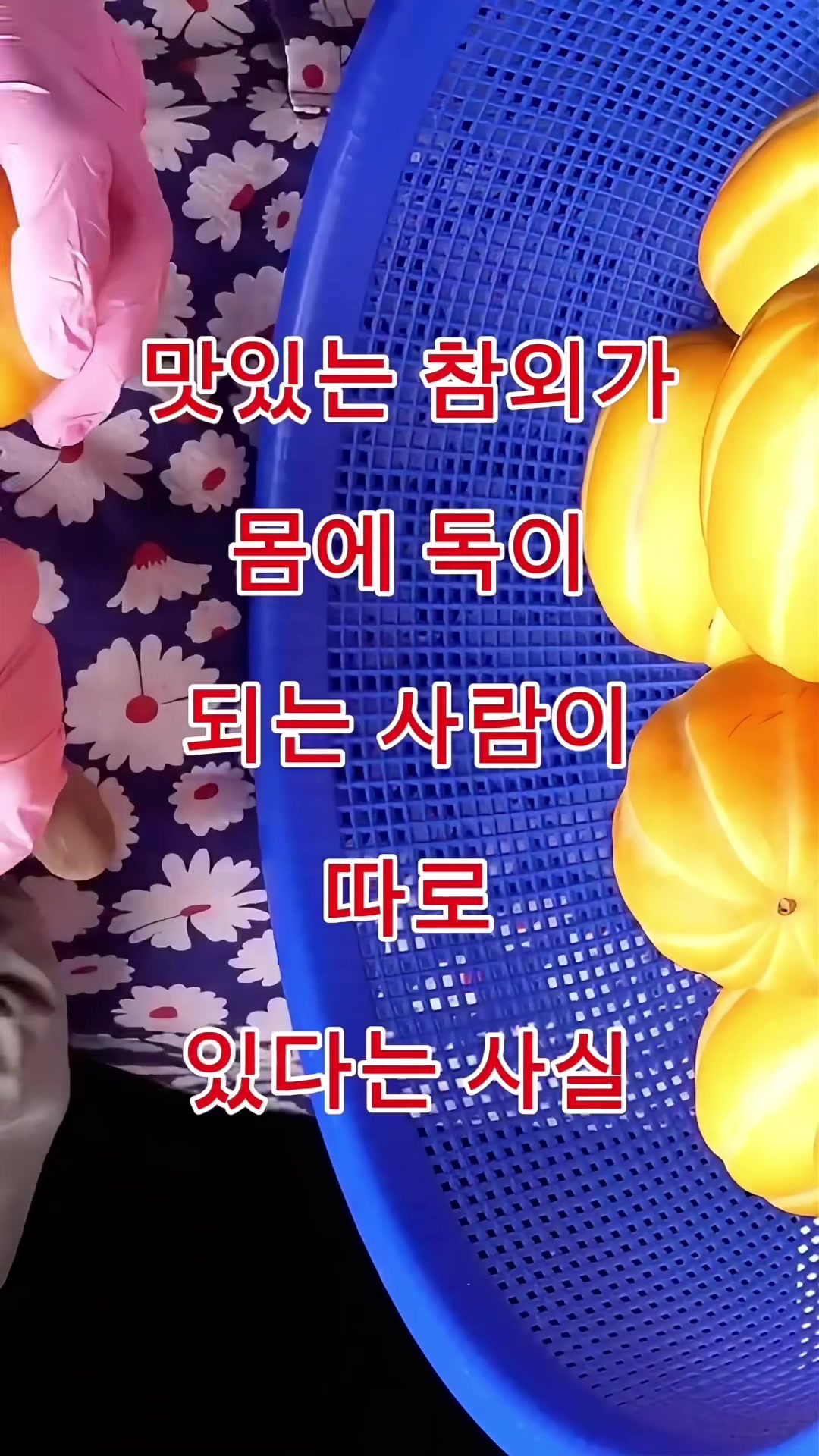 @김 박사입니다