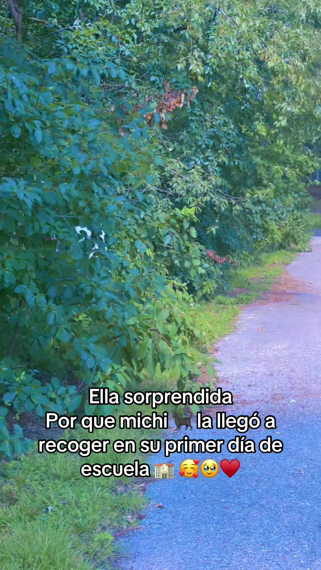 @Luzma1802