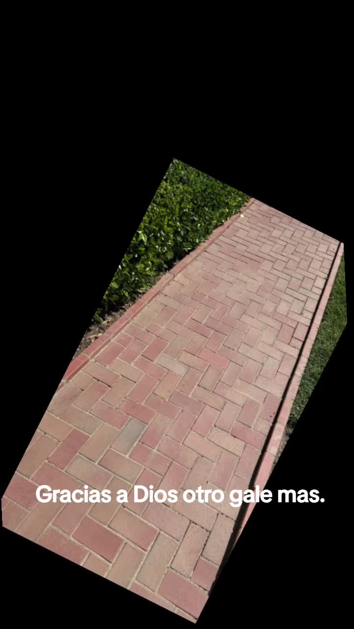 @Sandro Diáz