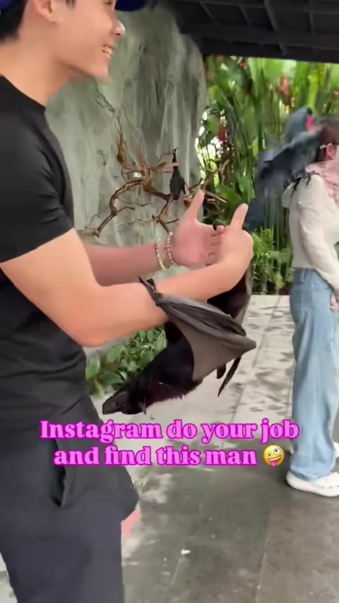 @KURIKONG VLOGS