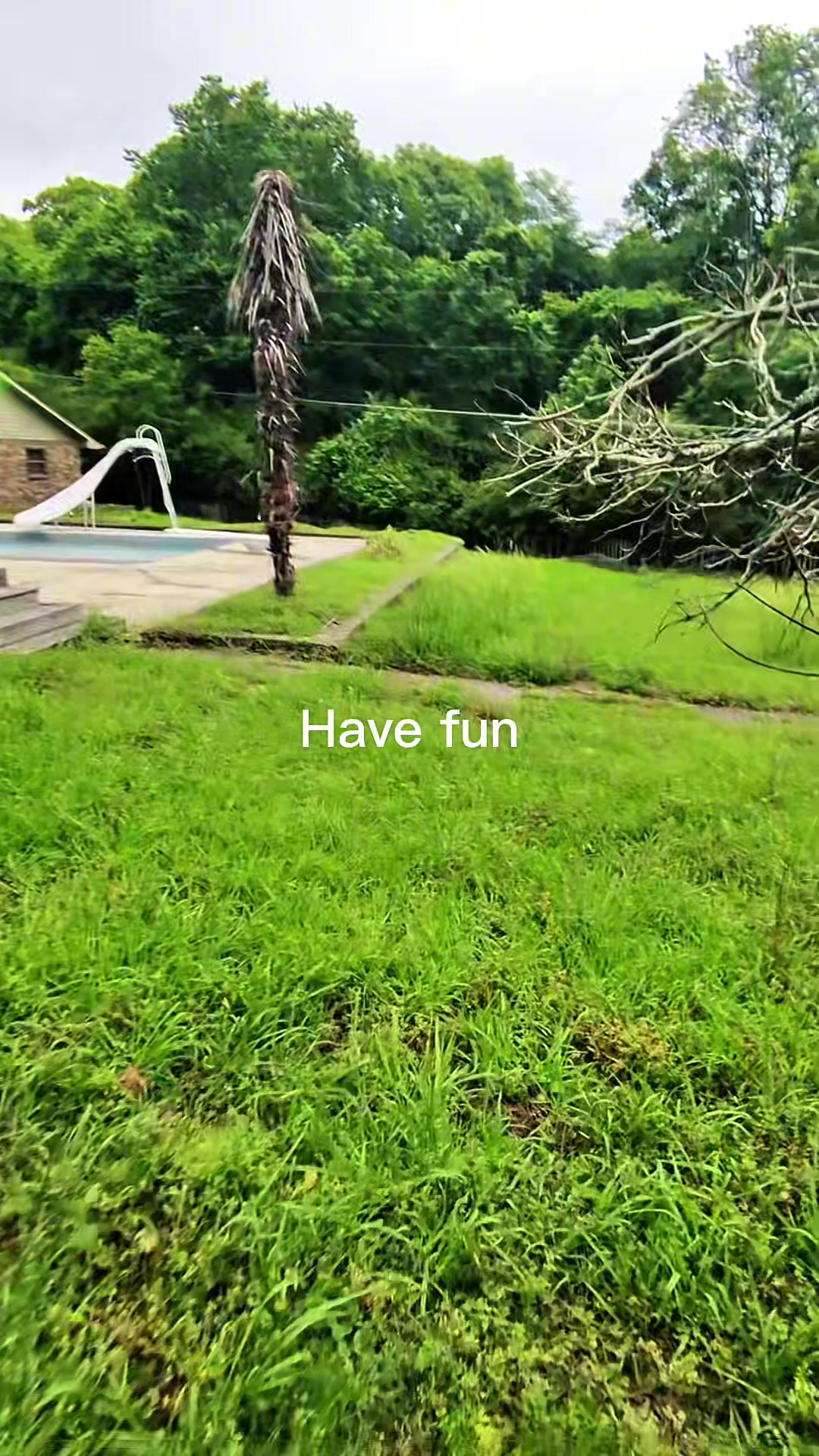 @directornoodles