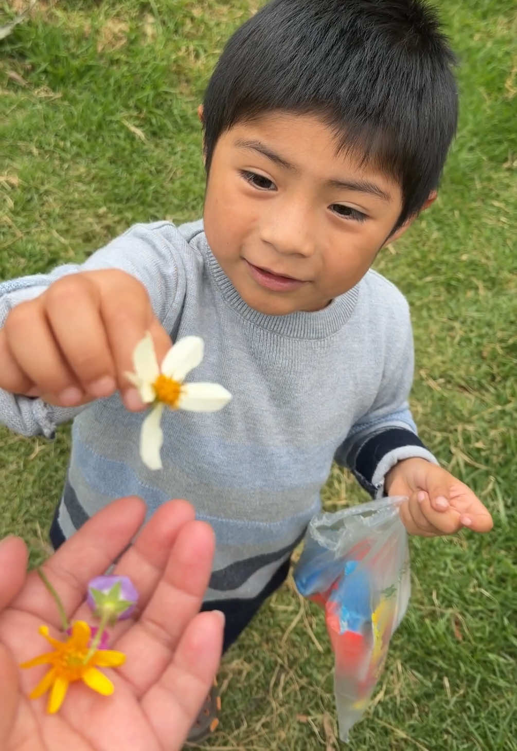 @Las Curiosidades de mamá