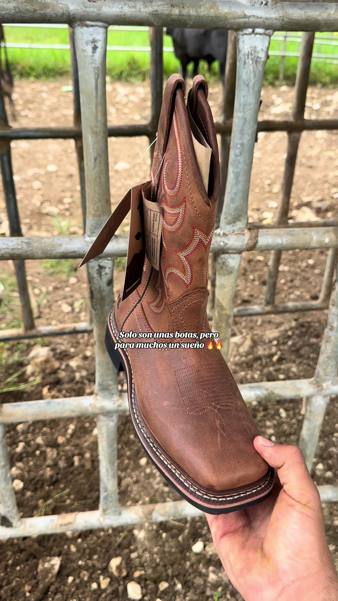@Venta de Botas RHINO