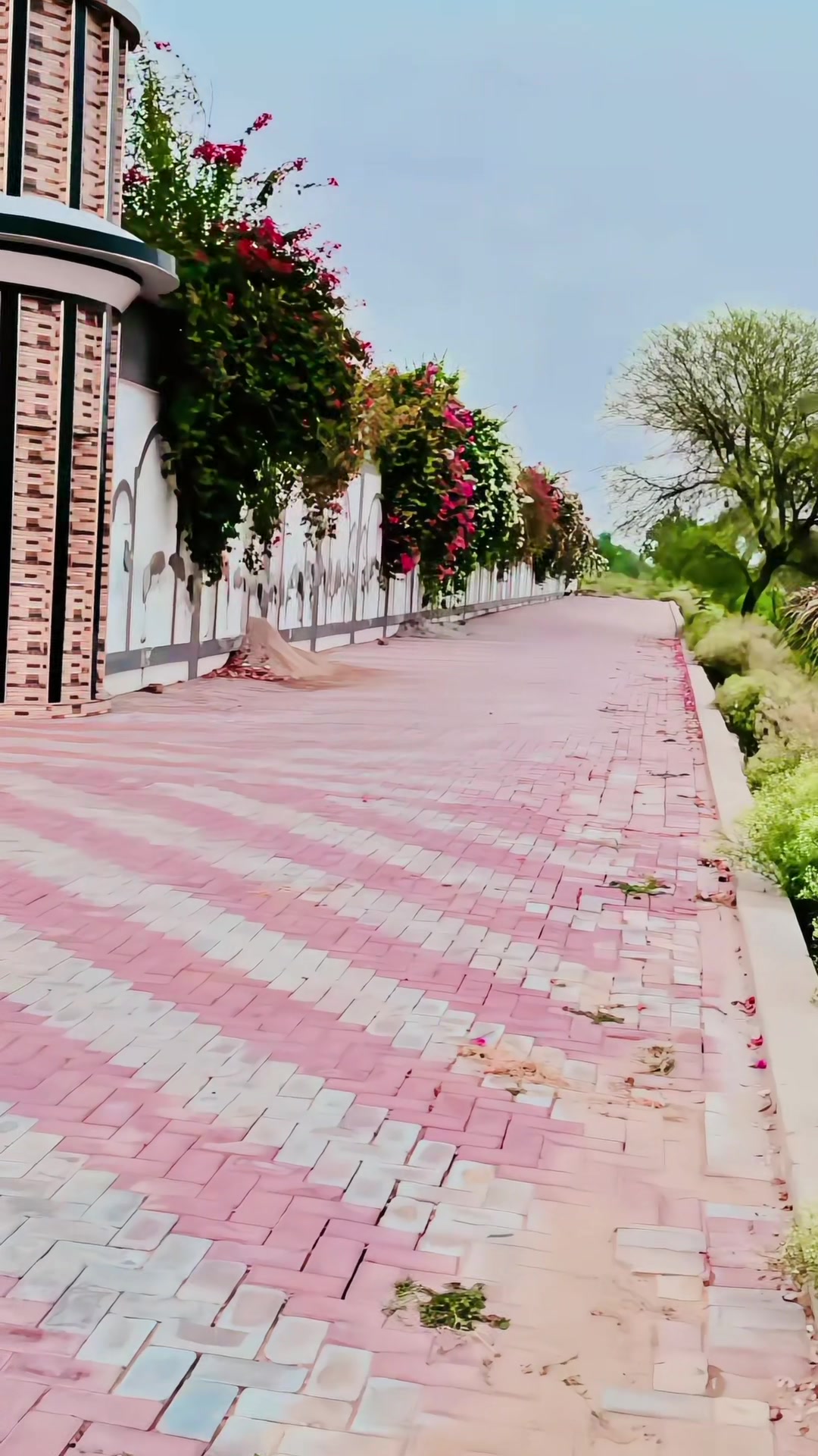 @احمد نیازی