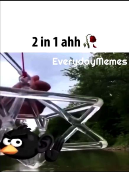 @EverydayMemes