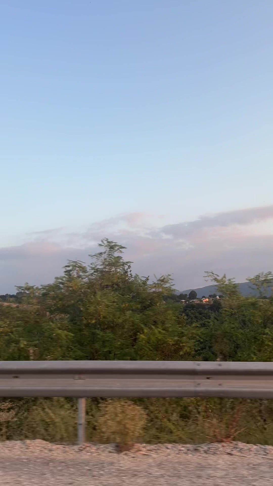 @Evsiz Karınca