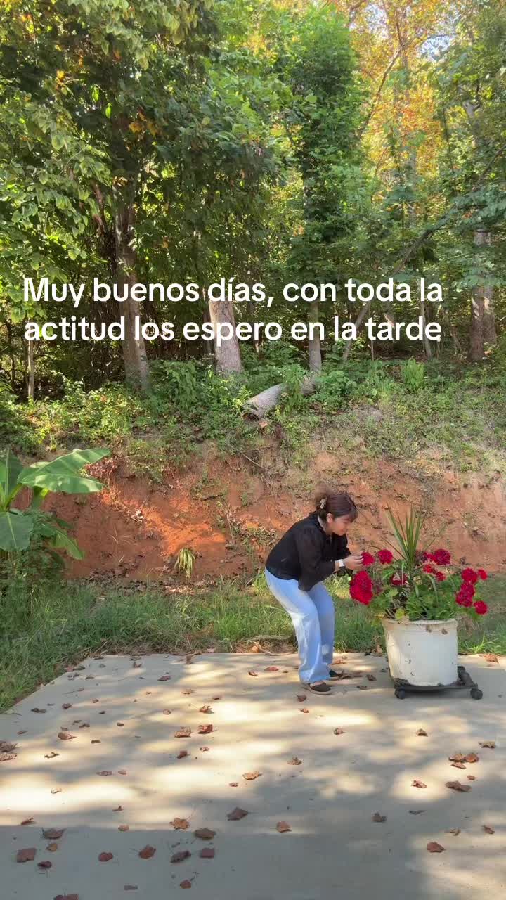 @Amalia cano