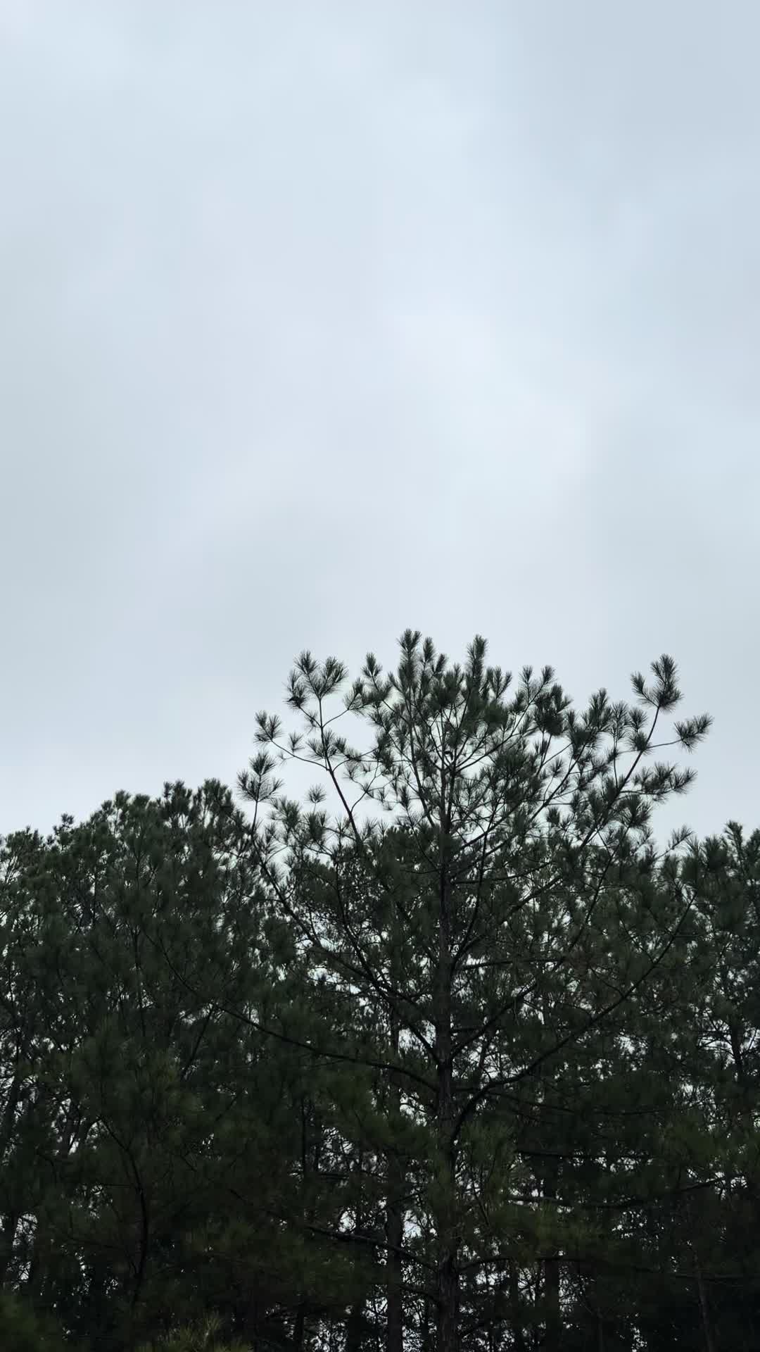 @Riley🌾🌾🤙🤙