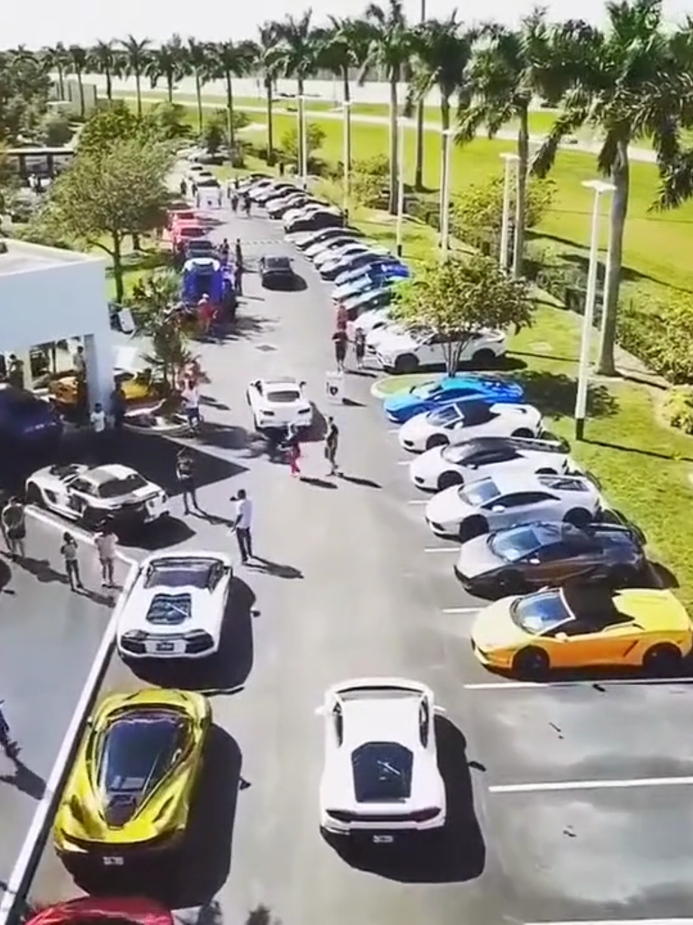 @Blacktop Exotics