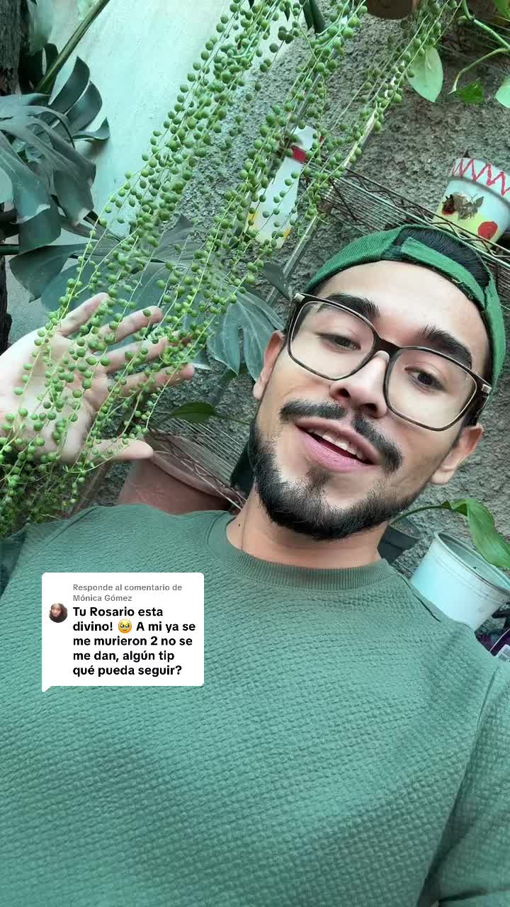 @Uriel el de las plantas
