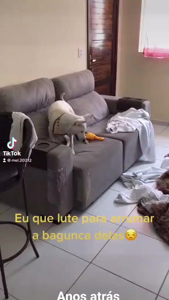 @Mel e zayon