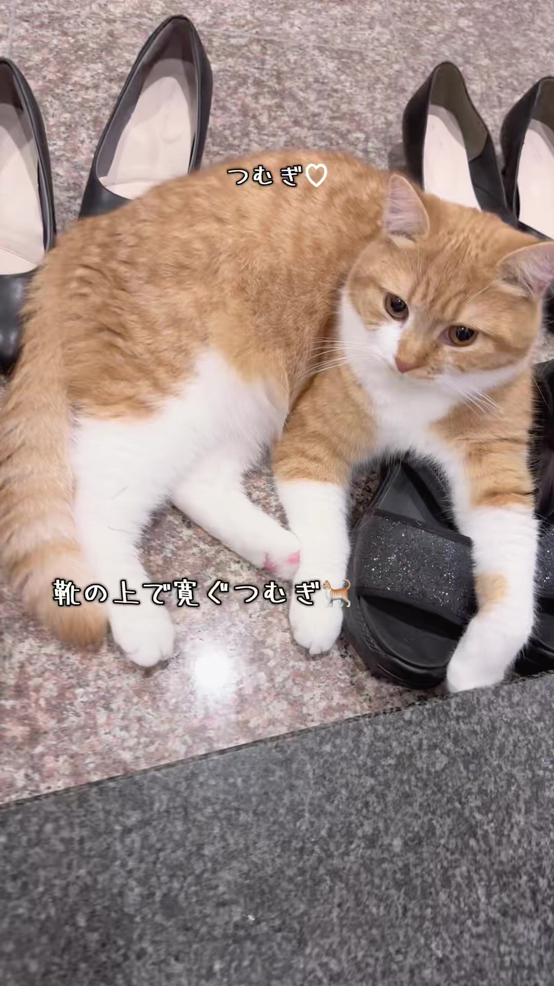 @マロン