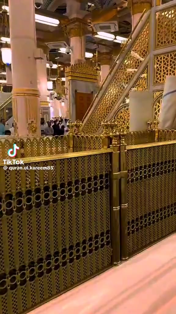 @M Shahid69533