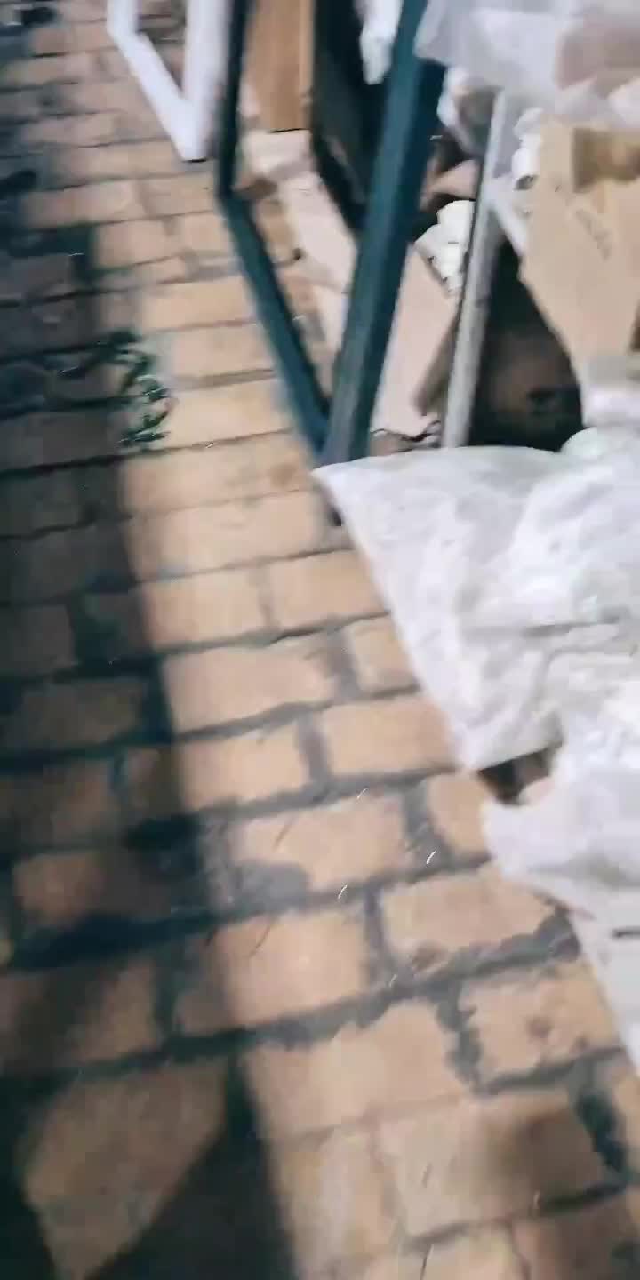 @◇ XAN JALÜZ ◇