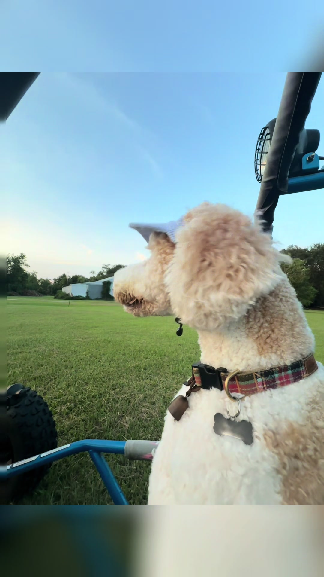 @bigdoodleandlittledoodle