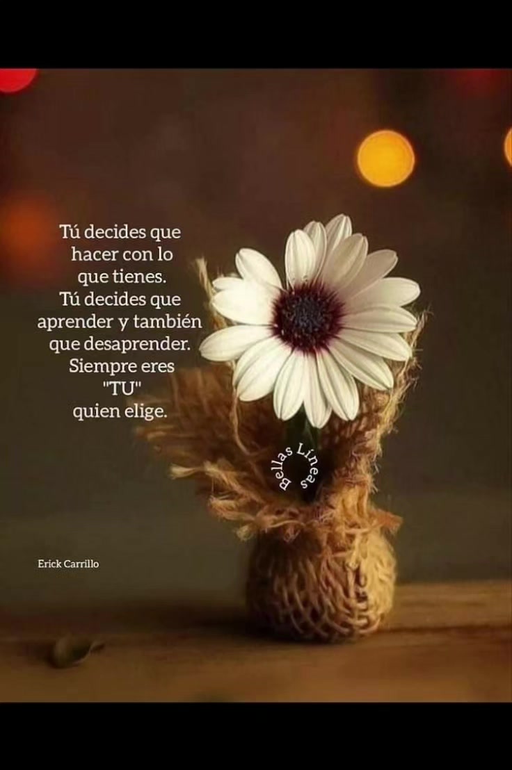 @Linda Garcia