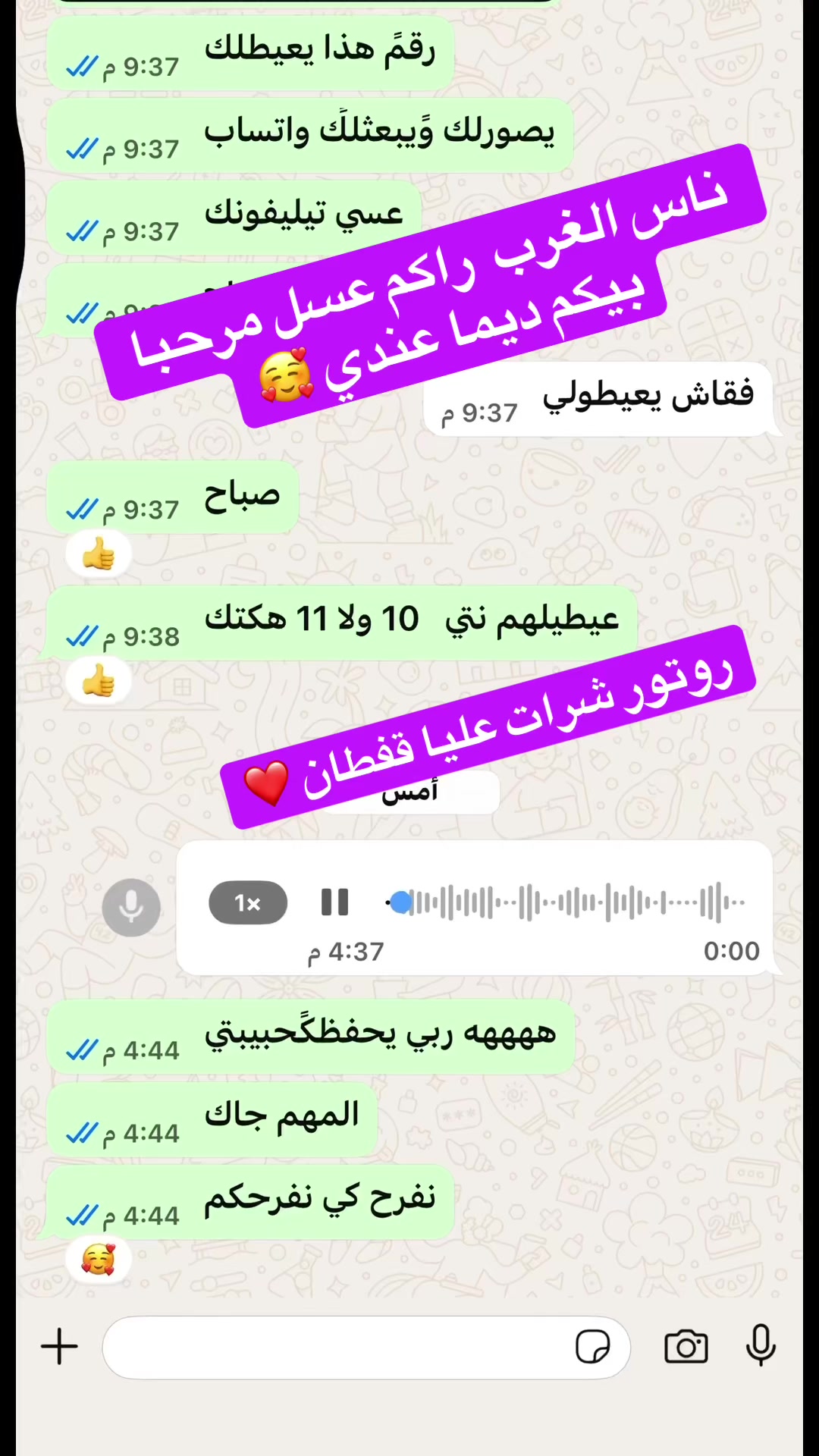 @Ran&igrave;a Fash&igrave;on