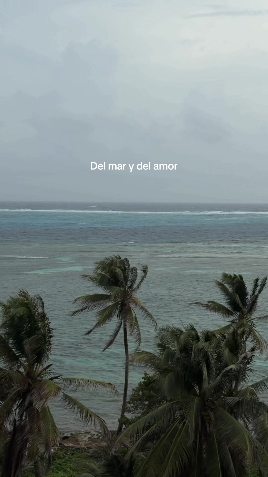 @Desiree Mendoza