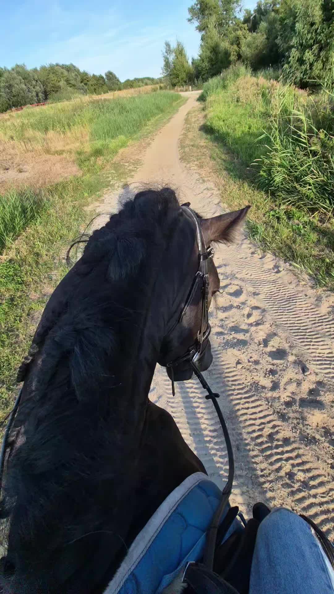 @🇳🇱Lana Van de schuur🇳🇱