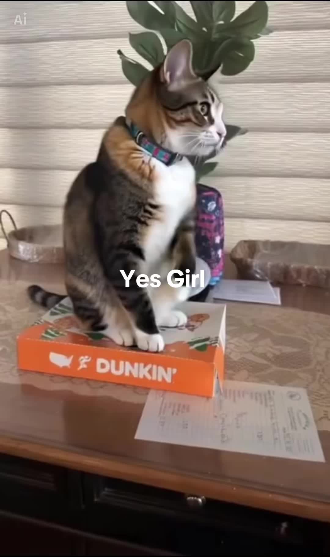 @Adventures of Baby Kitty