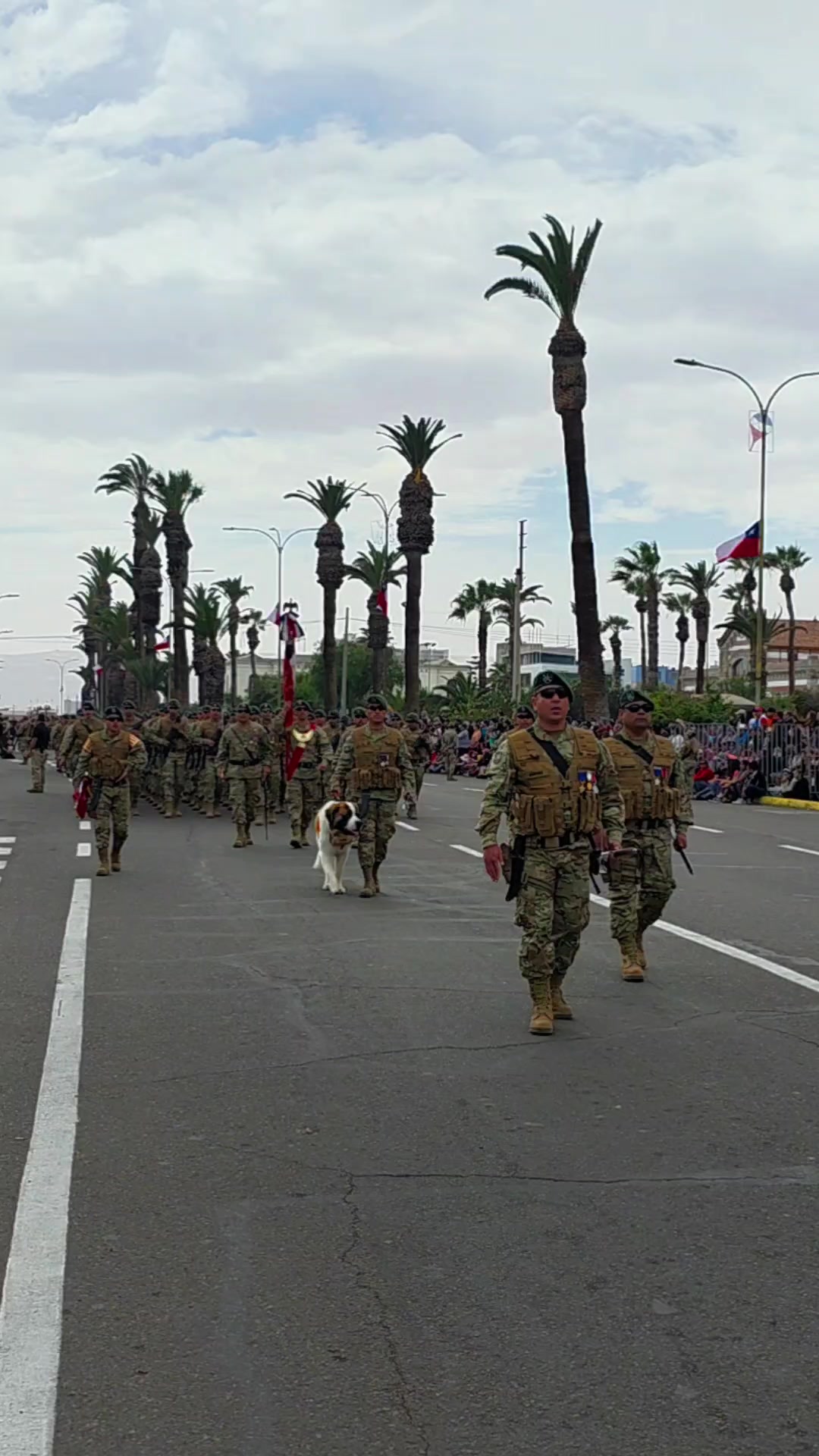 @Arica es Bacán