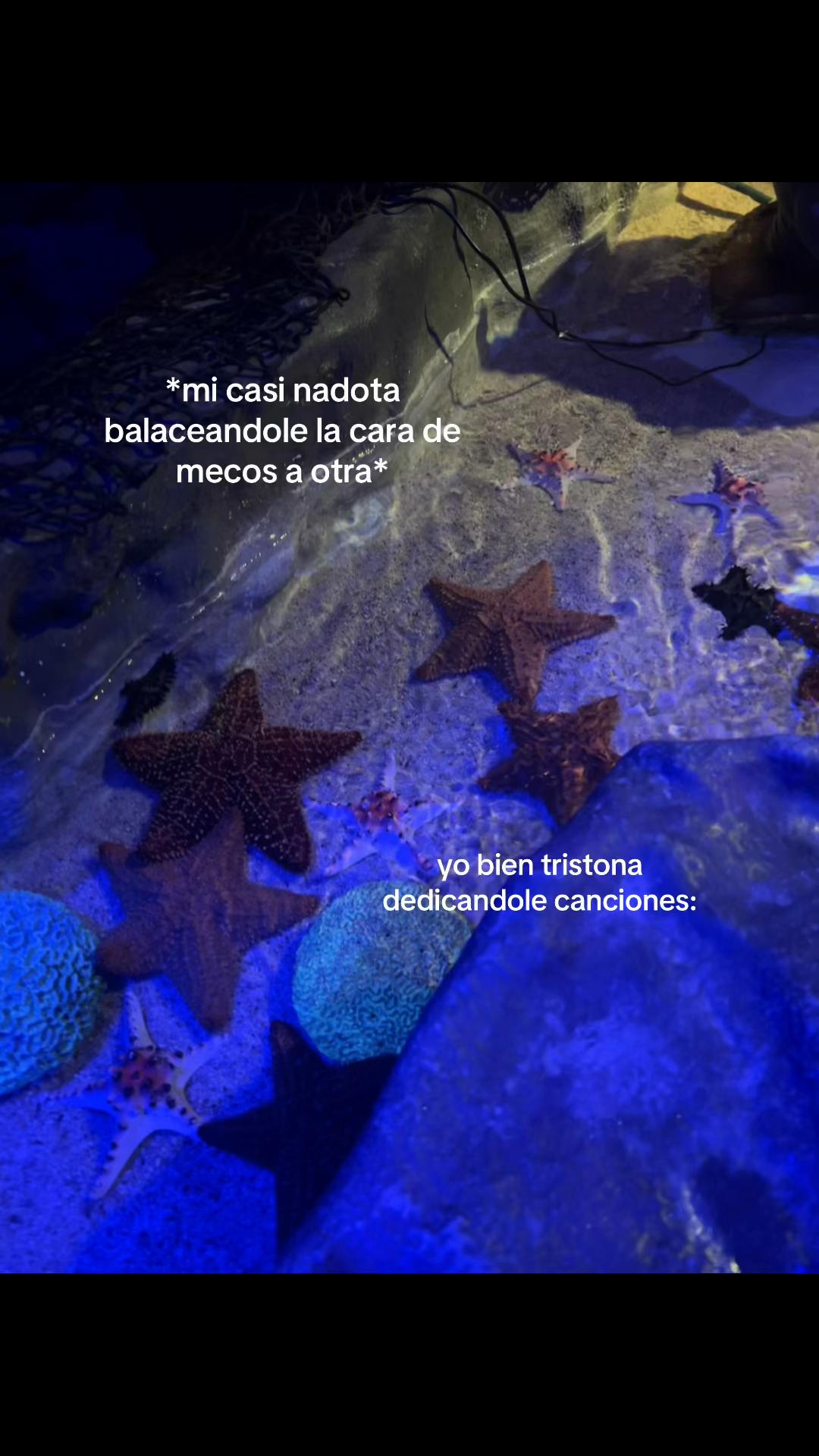 @𝑮.