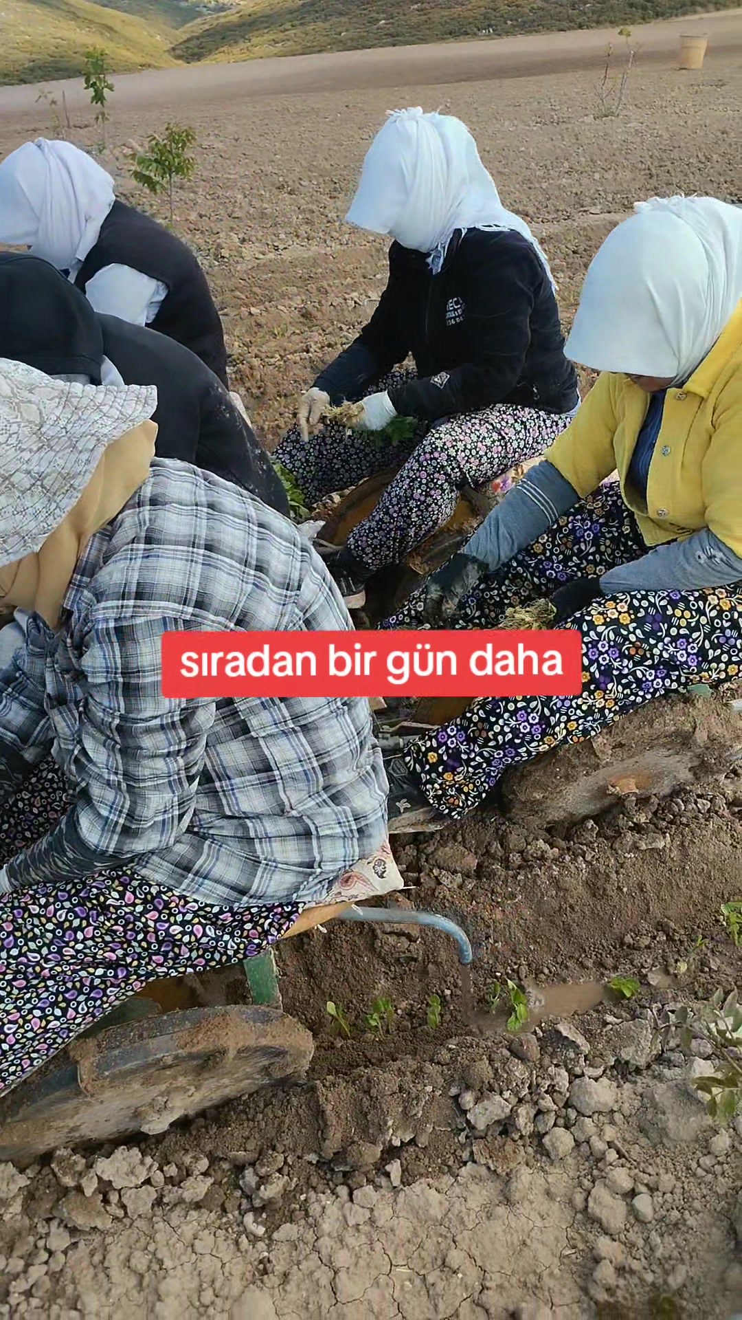 @☺️Farmasi Cemile damgacı🐟