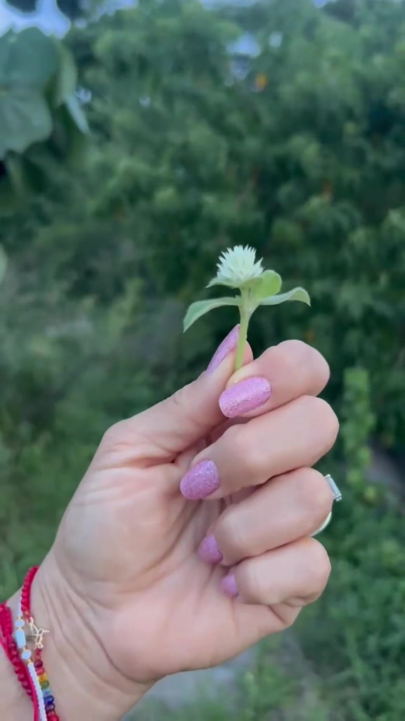 @Gabriela💕