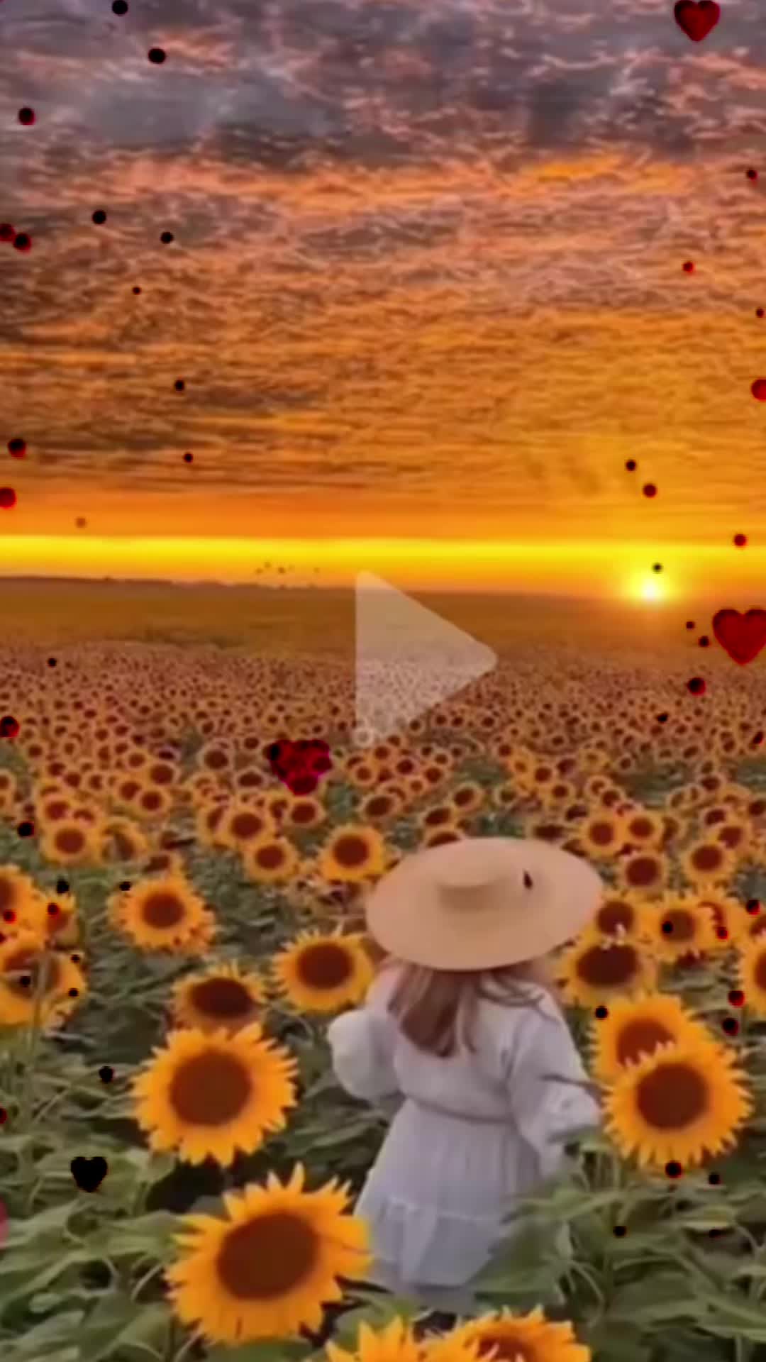@kevinbarry32563
