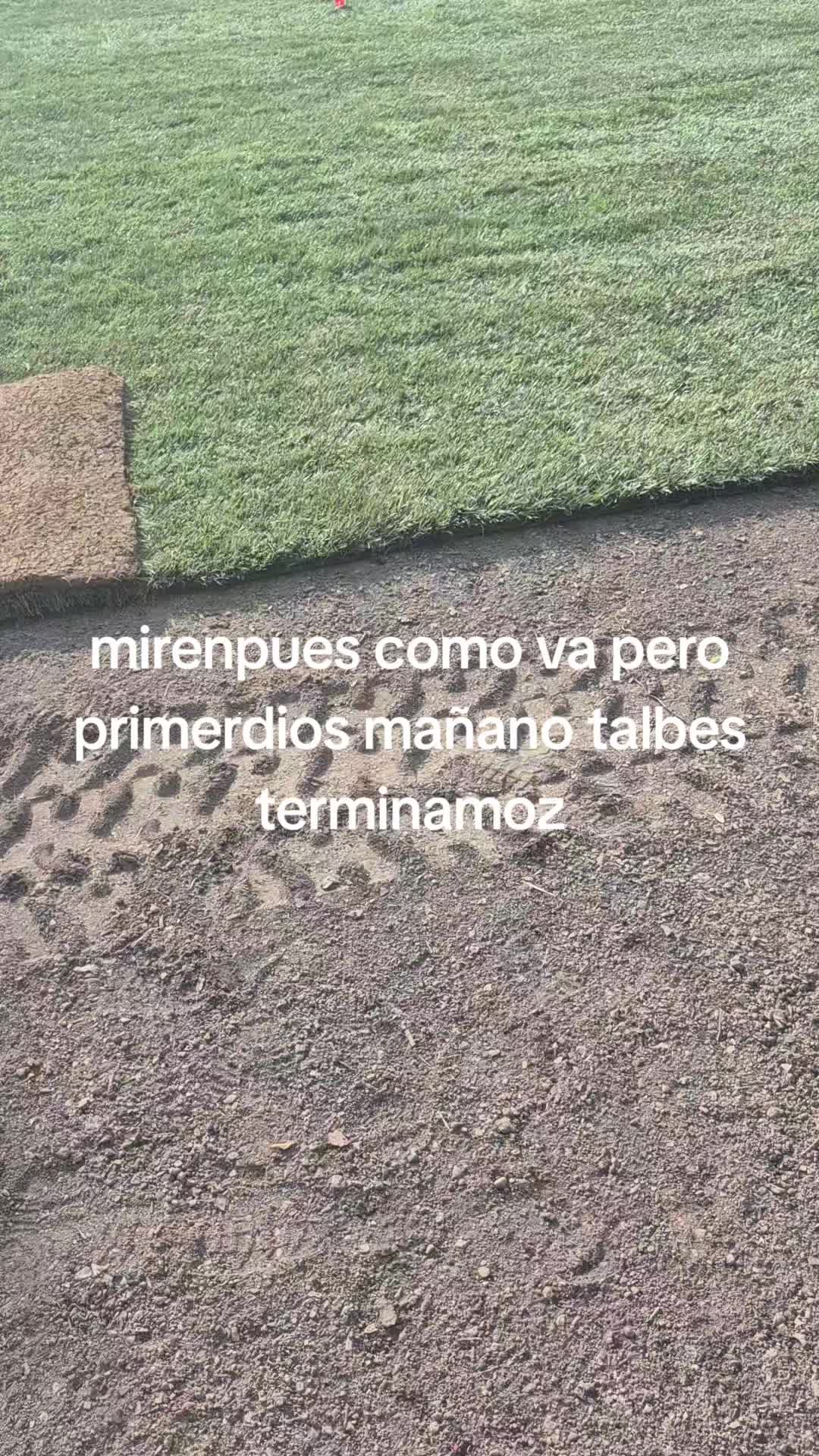 @hernan navarete