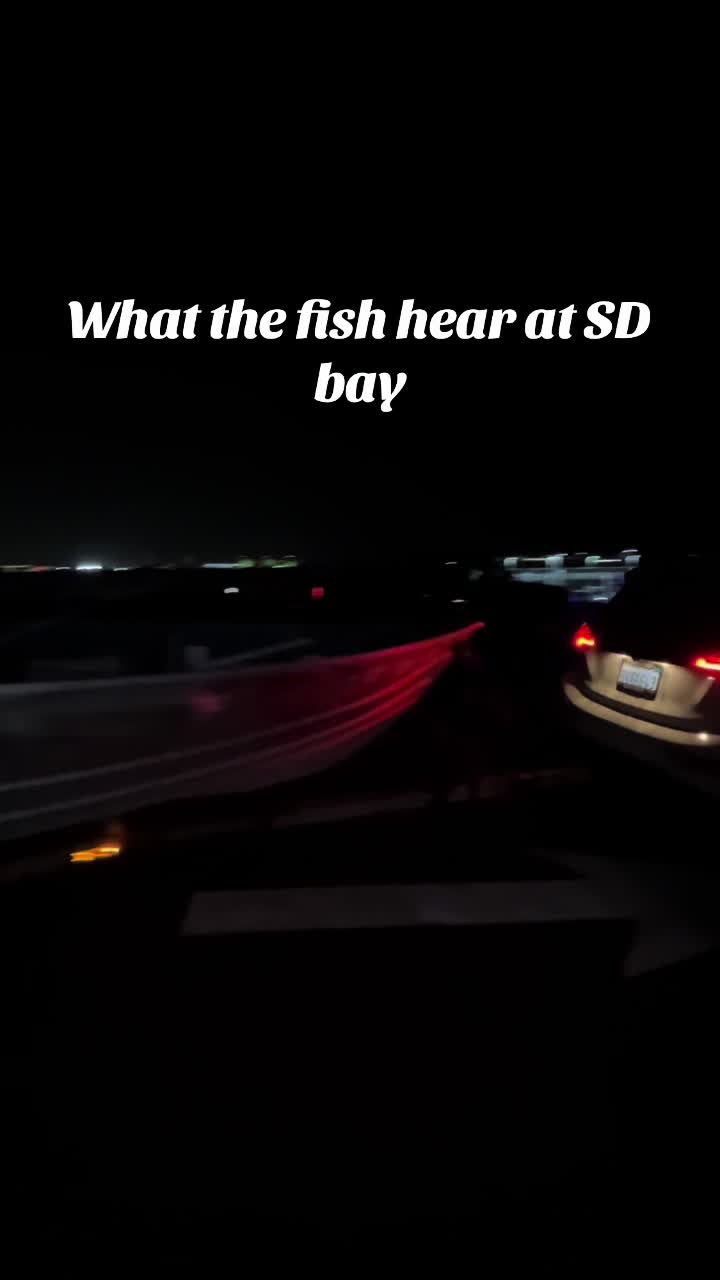 @matt.fishh