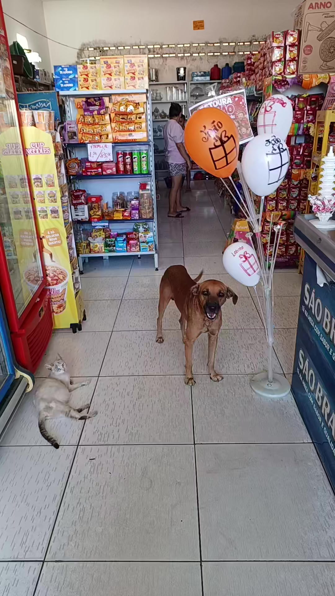 @Mercadinho Ideal