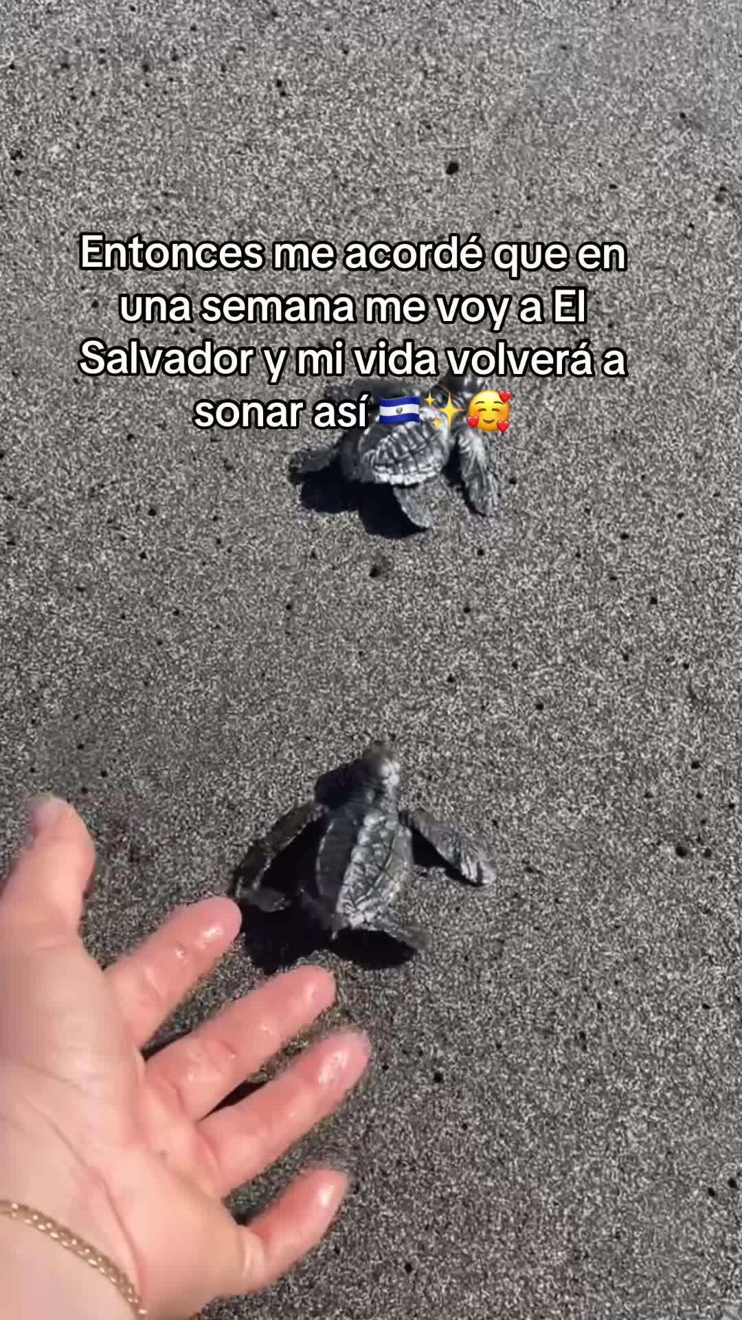 @Anabel ๐ค ๐